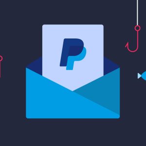 Pack complet de phishing et d'encaissement de spamming paypal